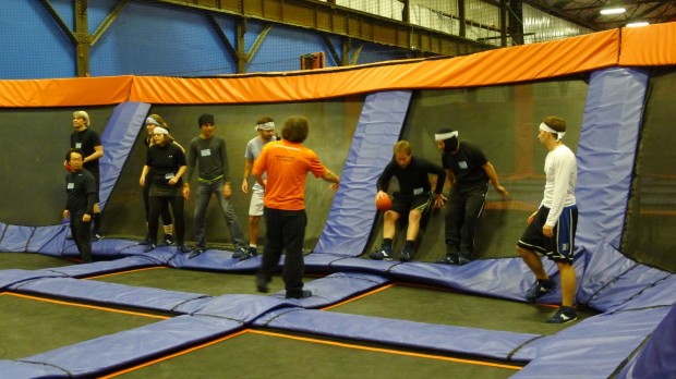 Team Ninja!