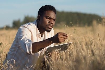 Field research and data collection